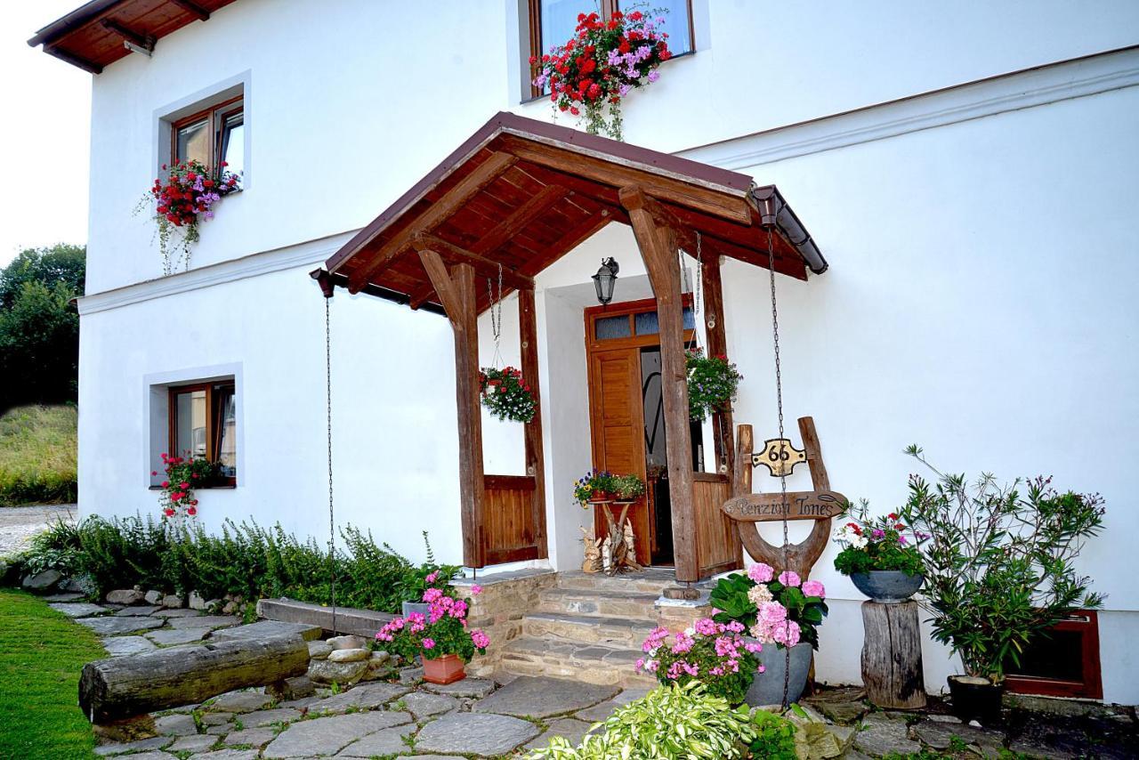 Apartmany Tones Hanušovice Extérieur photo